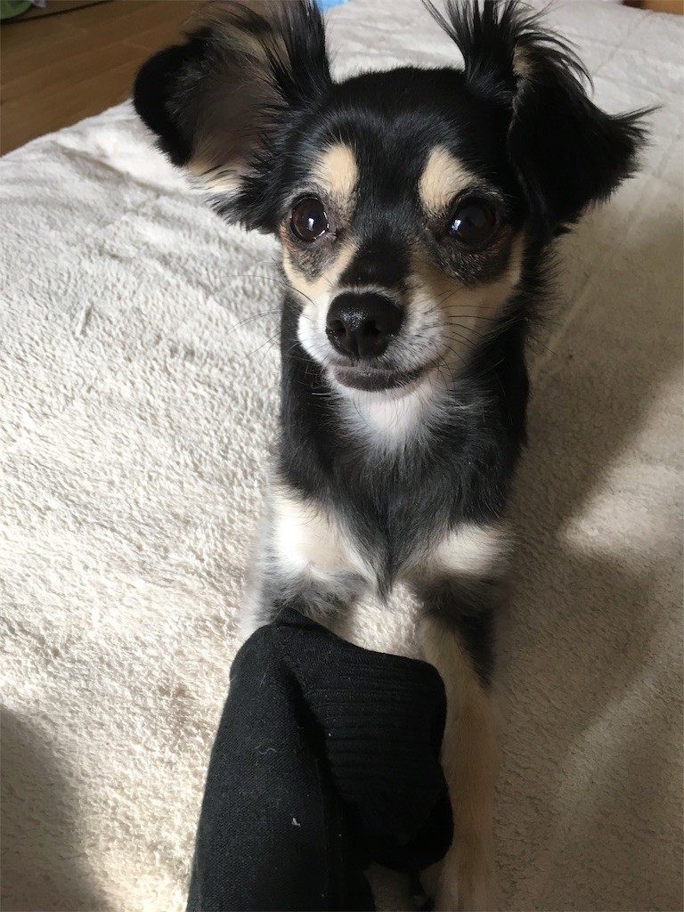 f:id:akie1000:20161116012937j:image