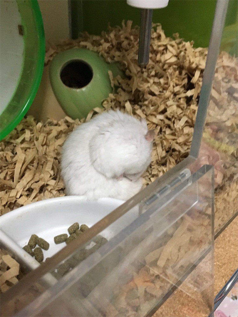 f:id:akie1000:20161117235954j:image