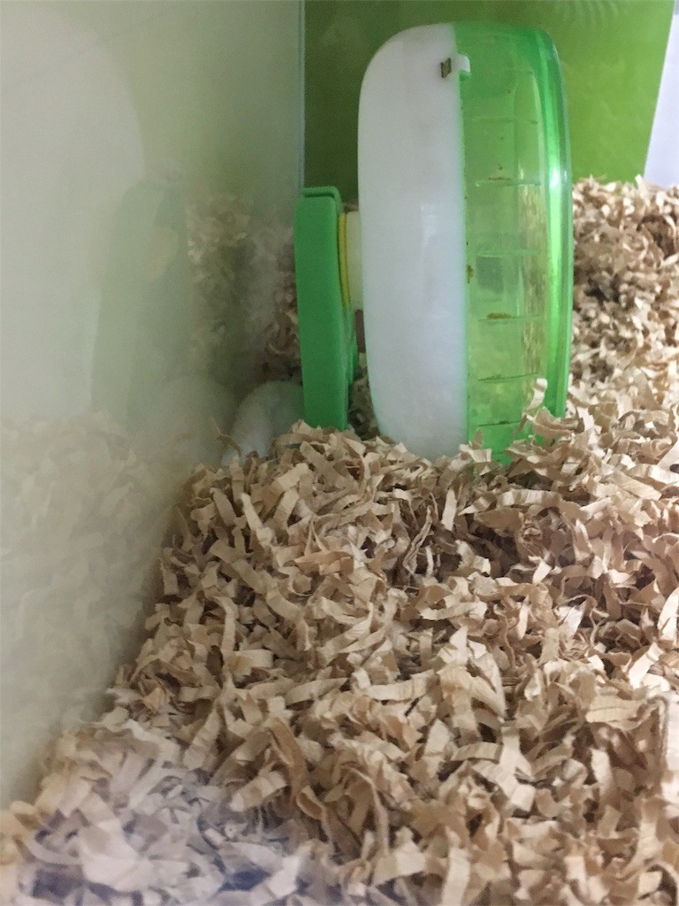 f:id:akie1000:20161118000002j:image