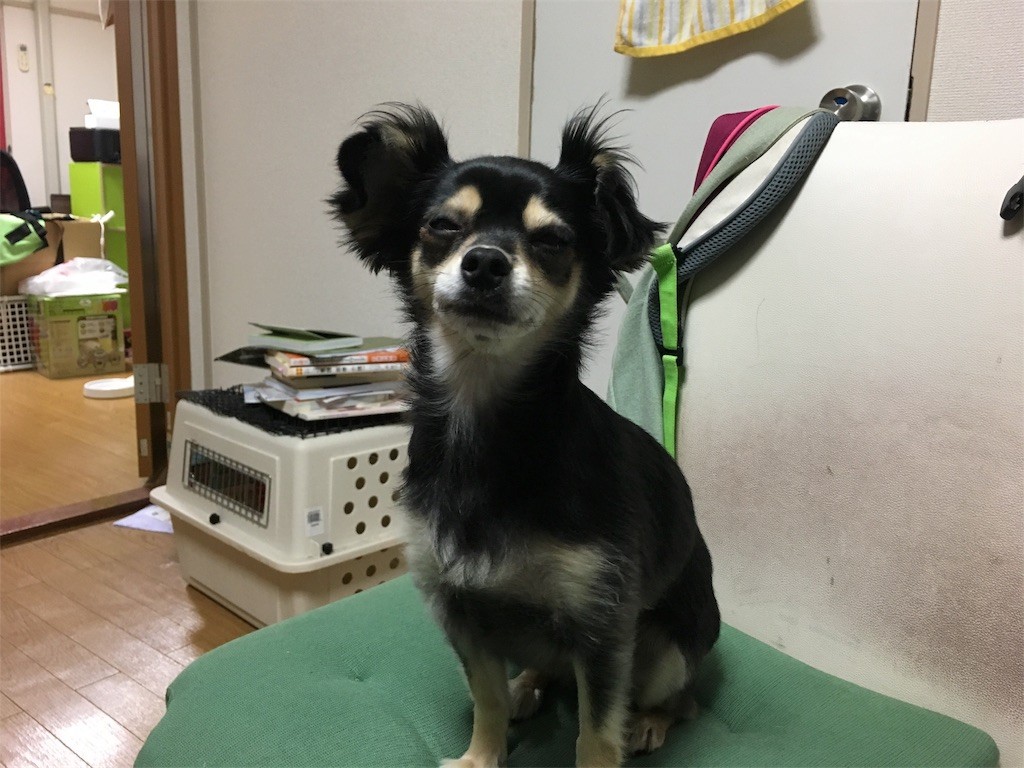 f:id:akie1000:20161120023017j:image