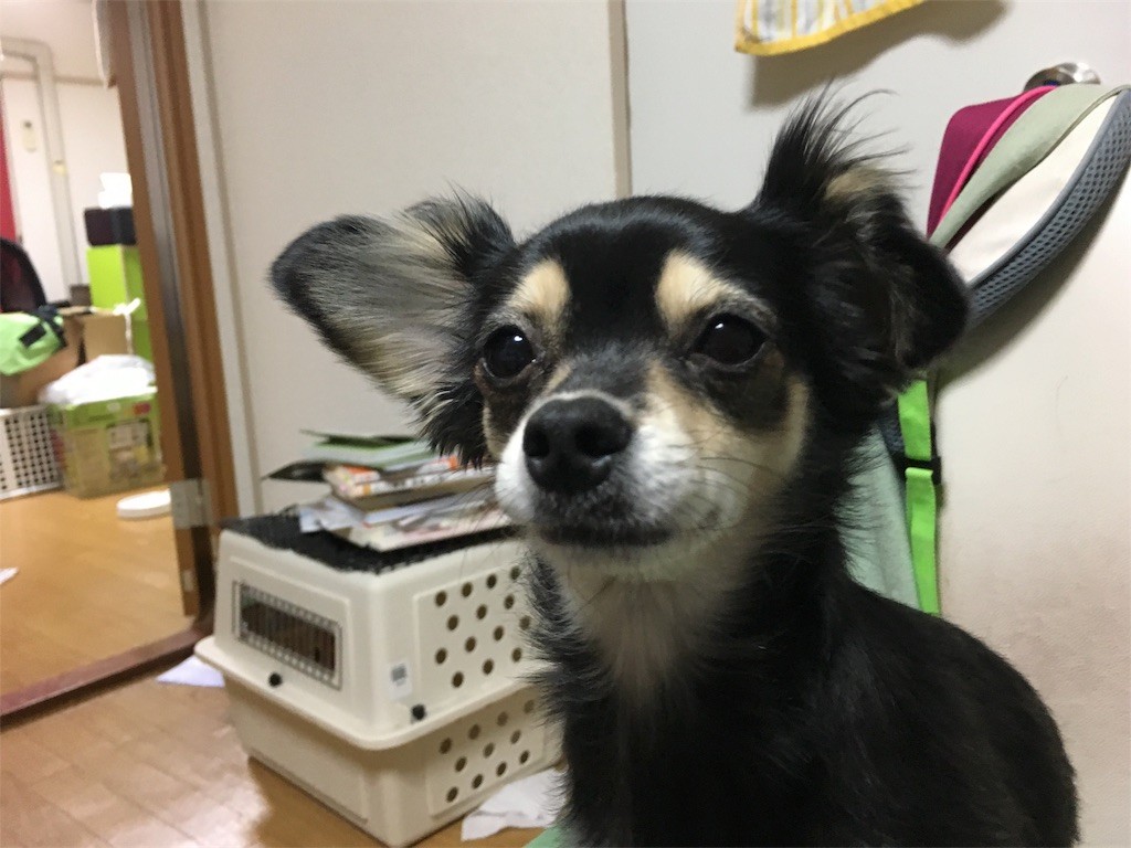 f:id:akie1000:20161120023022j:image