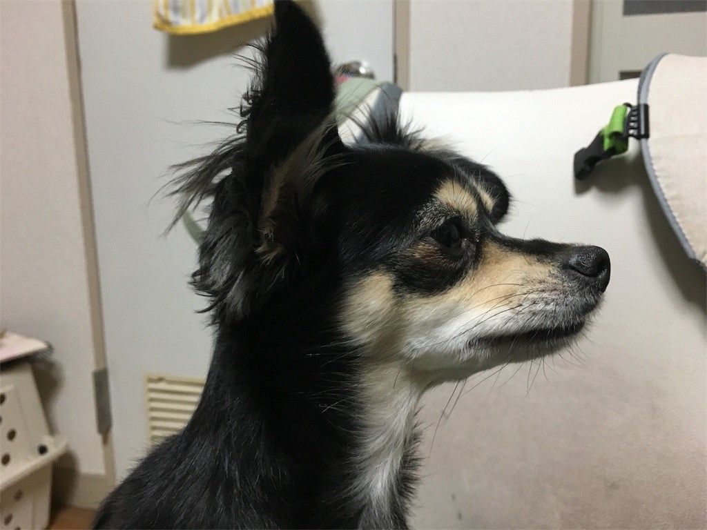 f:id:akie1000:20161120023030j:image