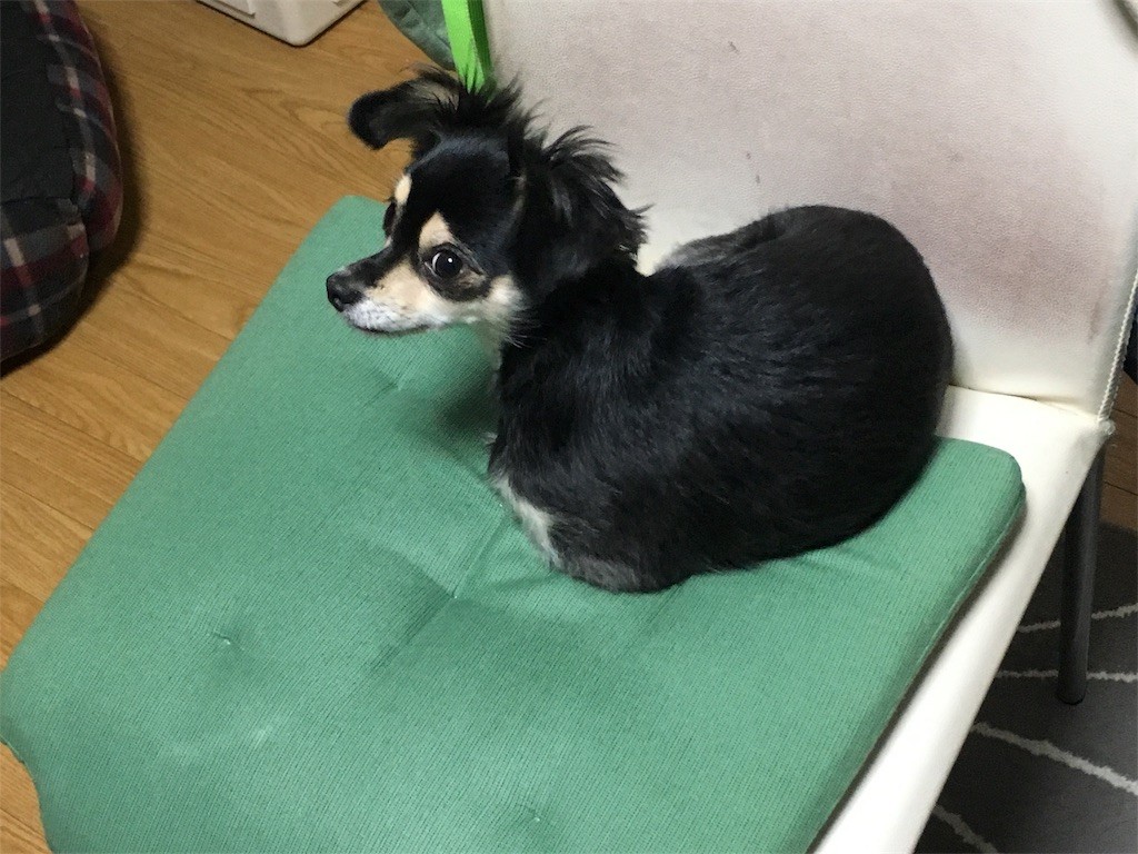 f:id:akie1000:20161120023049j:image