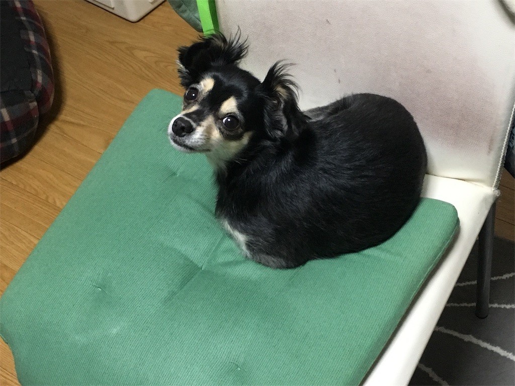 f:id:akie1000:20161120023055j:image