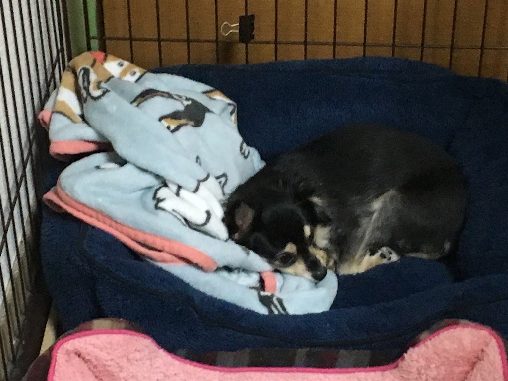 f:id:akie1000:20161120023100j:image