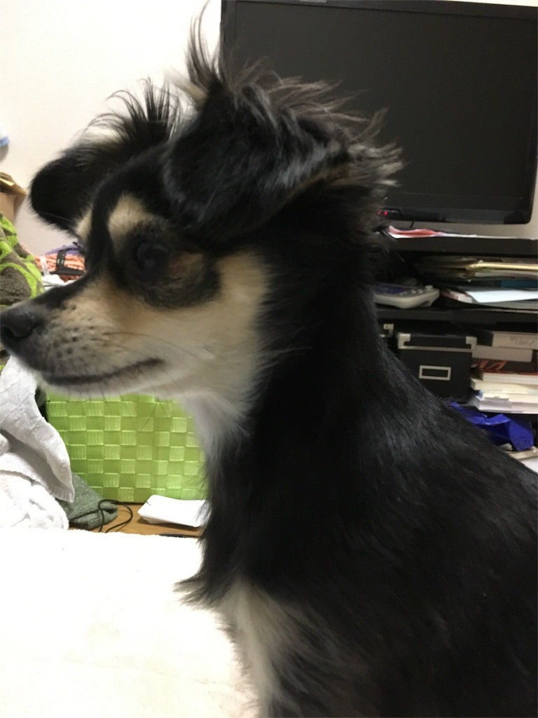 f:id:akie1000:20161124000128j:image