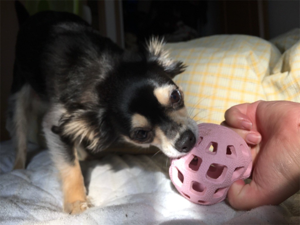 f:id:akie1000:20161209210606j:image