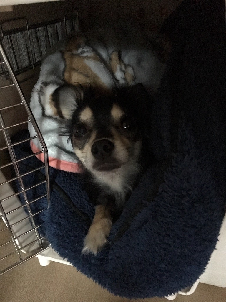 f:id:akie1000:20161214175527j:image