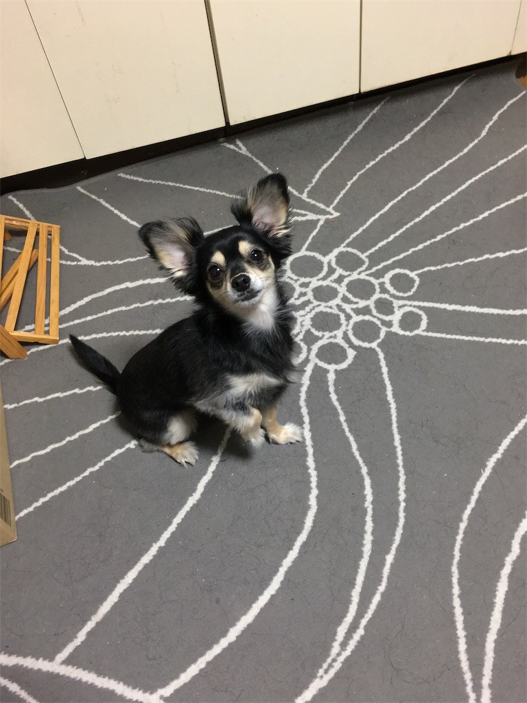 f:id:akie1000:20161214175537j:image