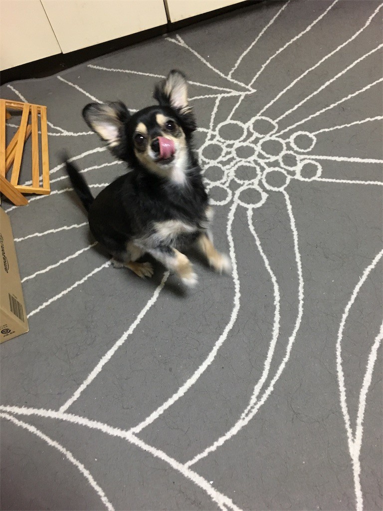 f:id:akie1000:20161214175549j:image