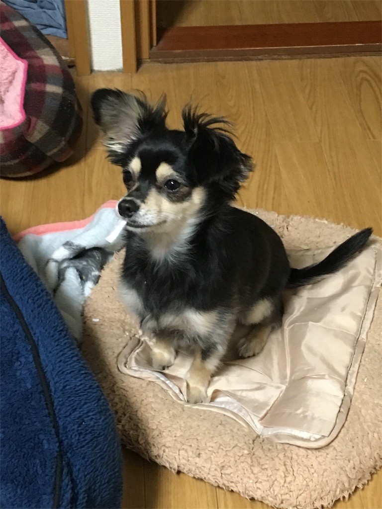 f:id:akie1000:20161214175558j:image