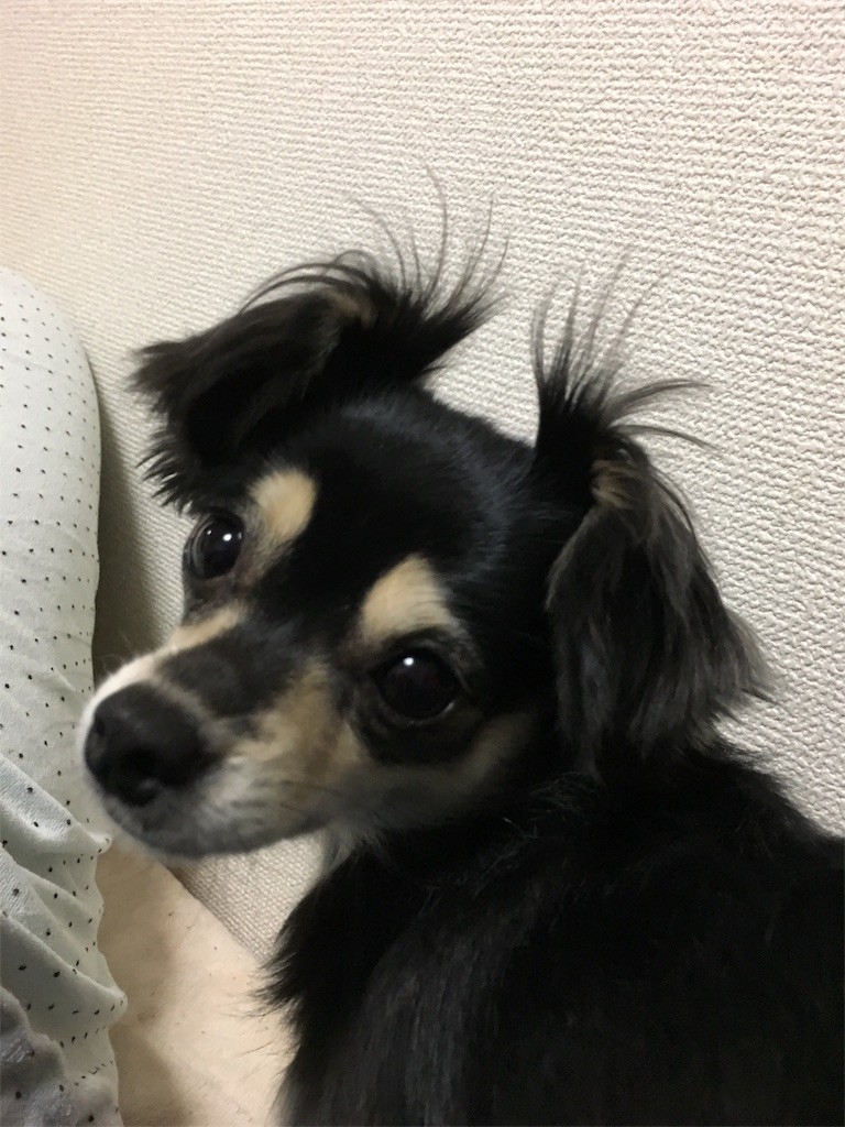 f:id:akie1000:20161227011232j:image