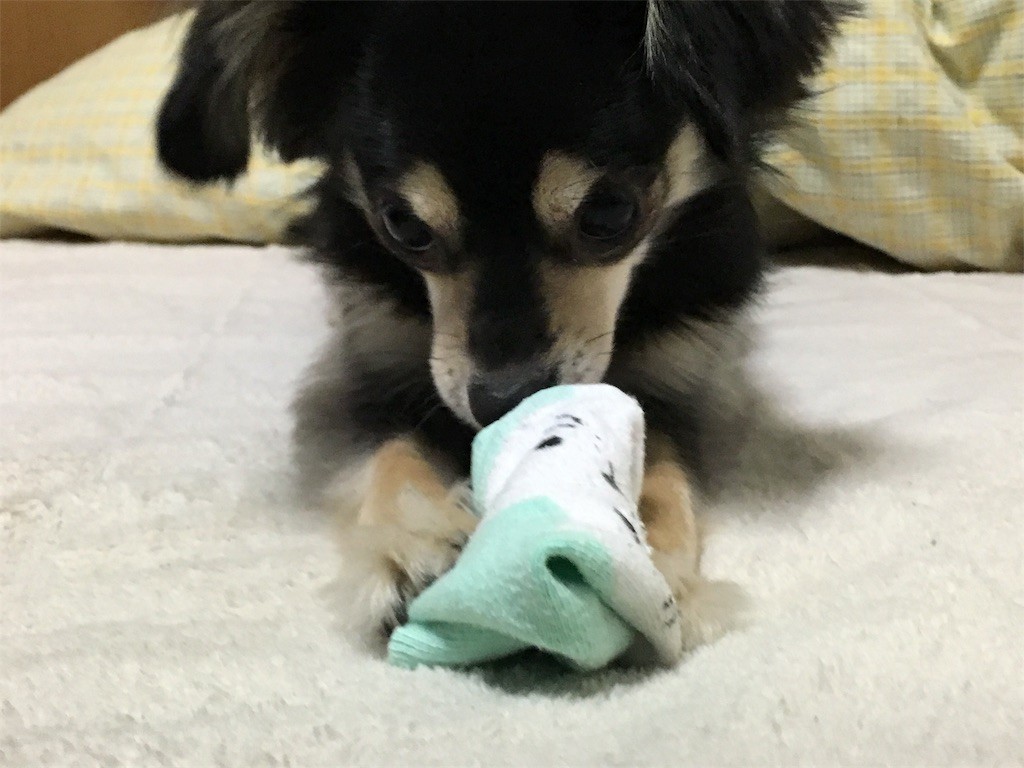 f:id:akie1000:20161227011248j:image