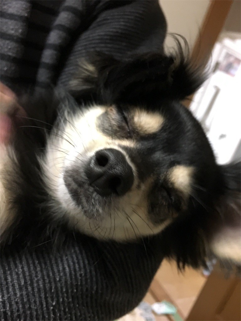 f:id:akie1000:20161227011513j:image