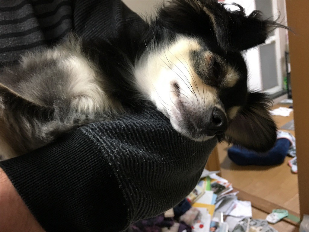 f:id:akie1000:20161227011745j:image