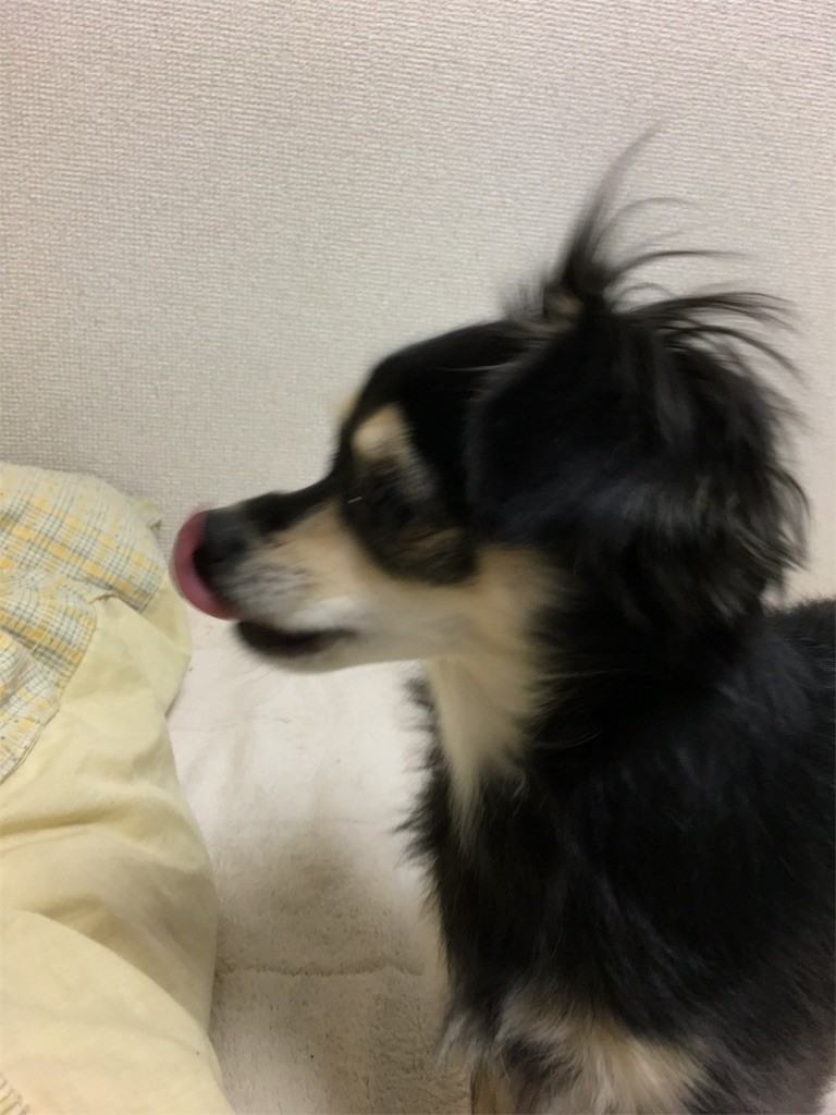 f:id:akie1000:20161229001547j:image