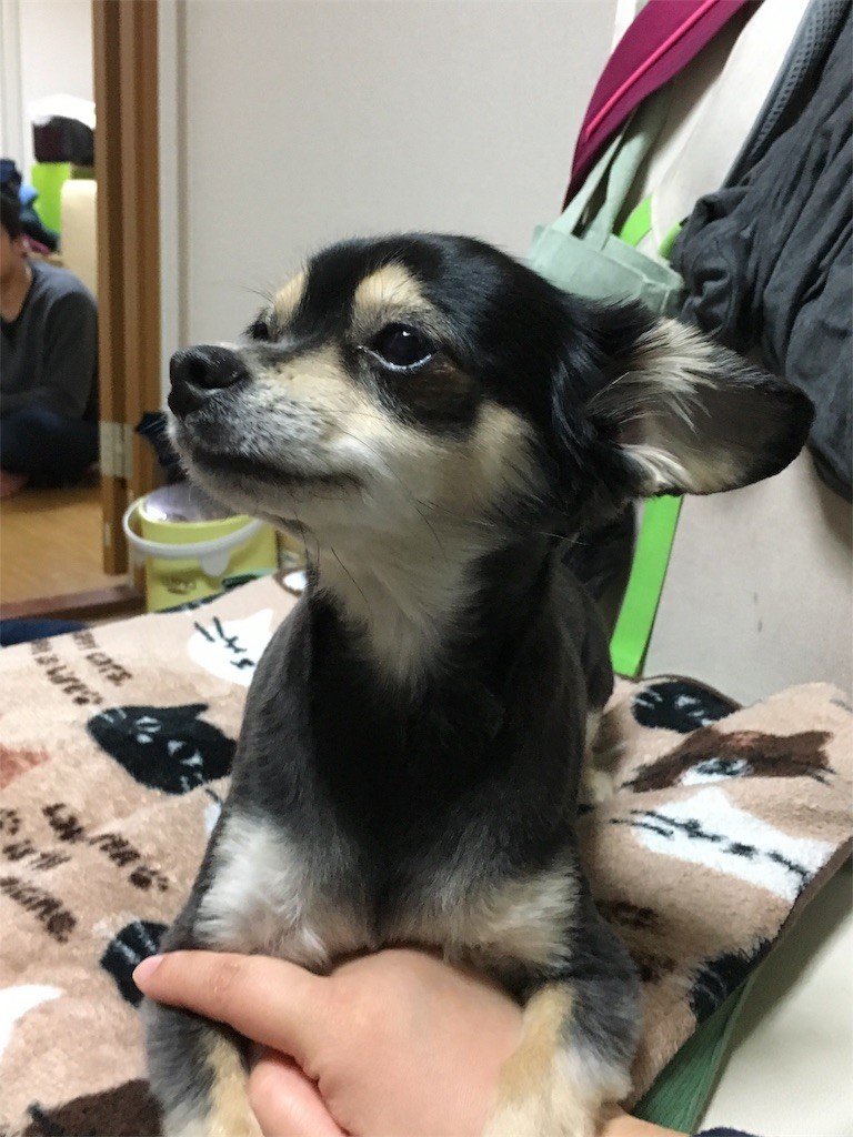 f:id:akie1000:20170104011733j:image