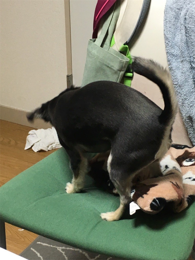 f:id:akie1000:20170106203955j:image