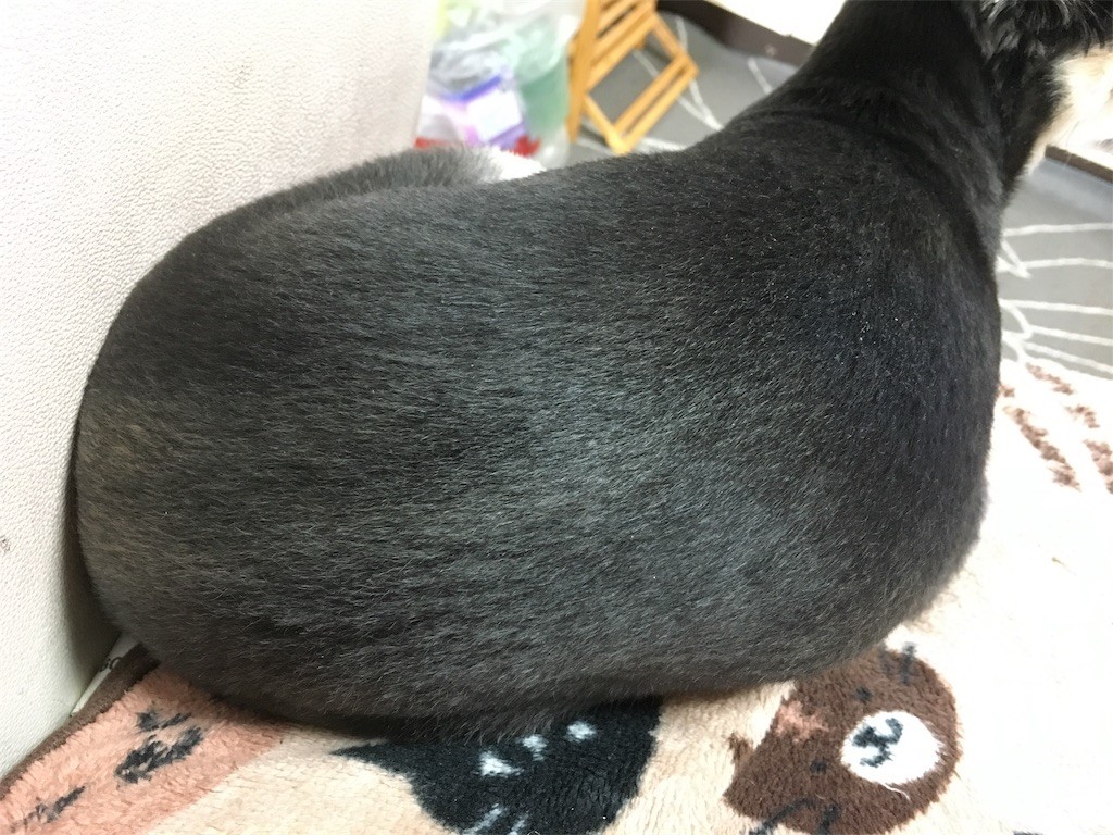 f:id:akie1000:20170117153746j:image