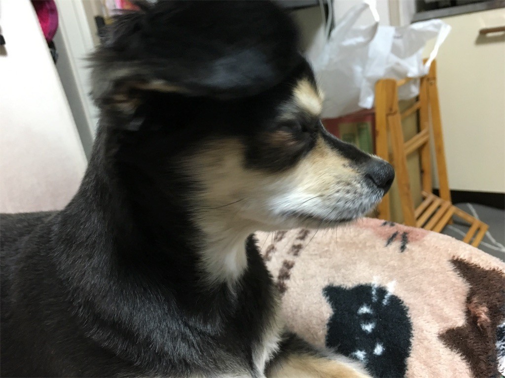 f:id:akie1000:20170117153928j:image