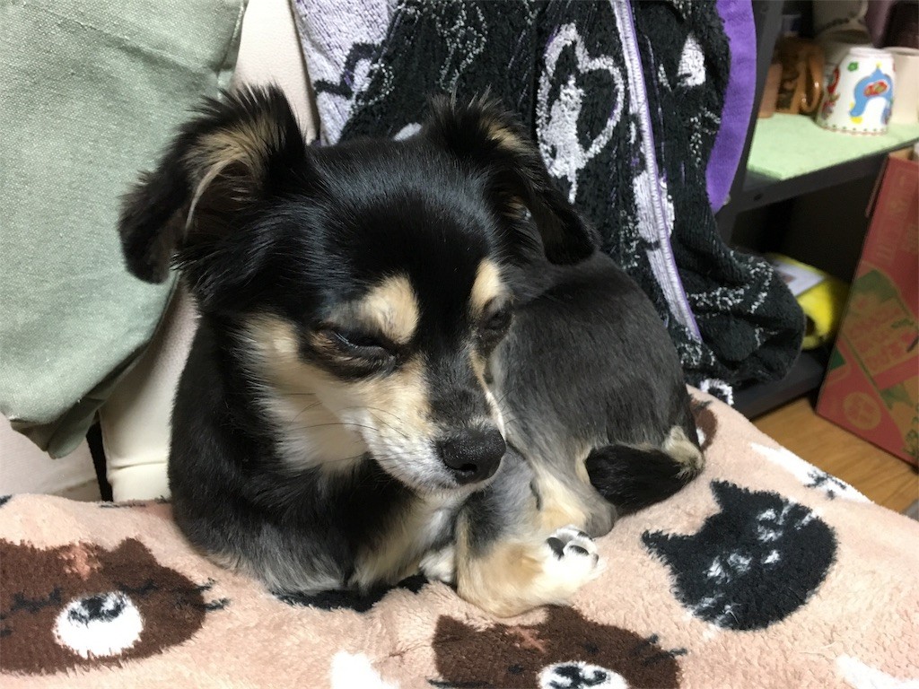 f:id:akie1000:20170118155401j:image