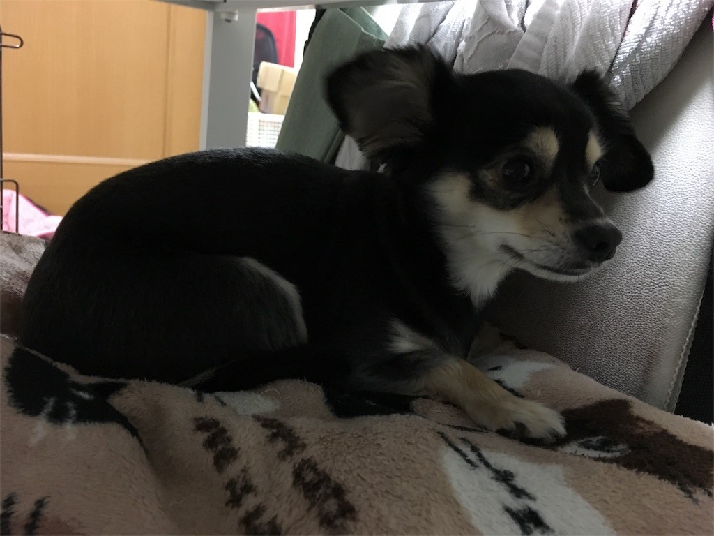 f:id:akie1000:20170119231550j:image