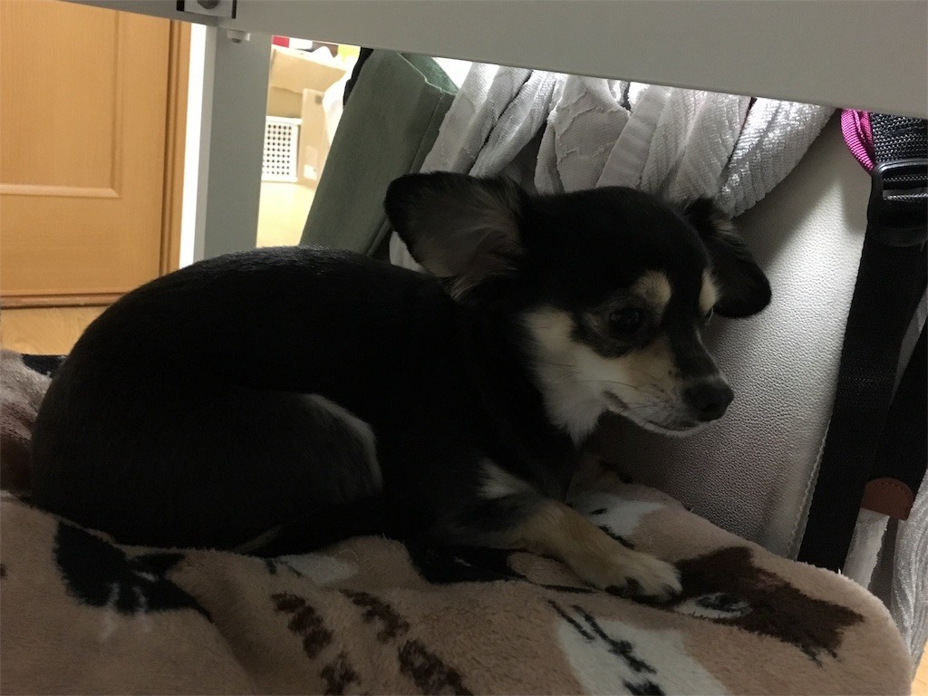 f:id:akie1000:20170119231613j:image