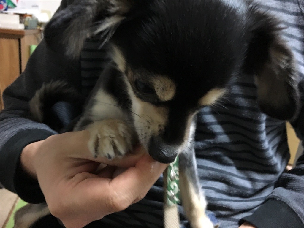 f:id:akie1000:20170122155029j:image