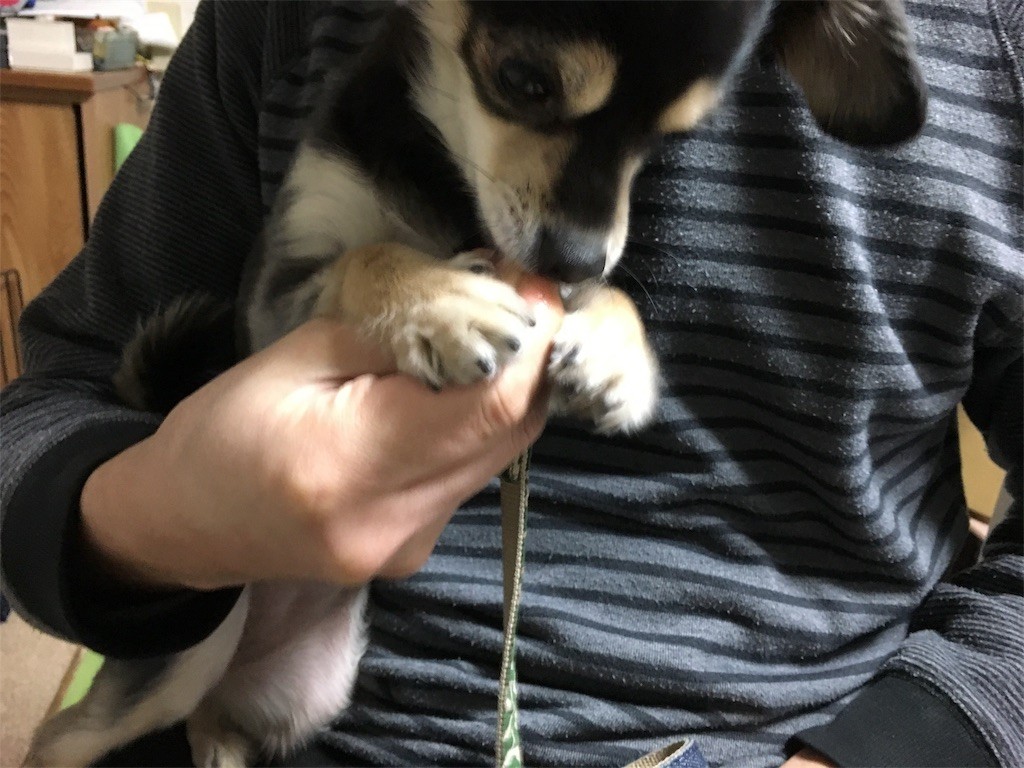 f:id:akie1000:20170122155049j:image