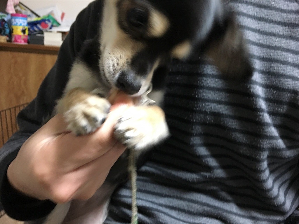 f:id:akie1000:20170122155105j:image