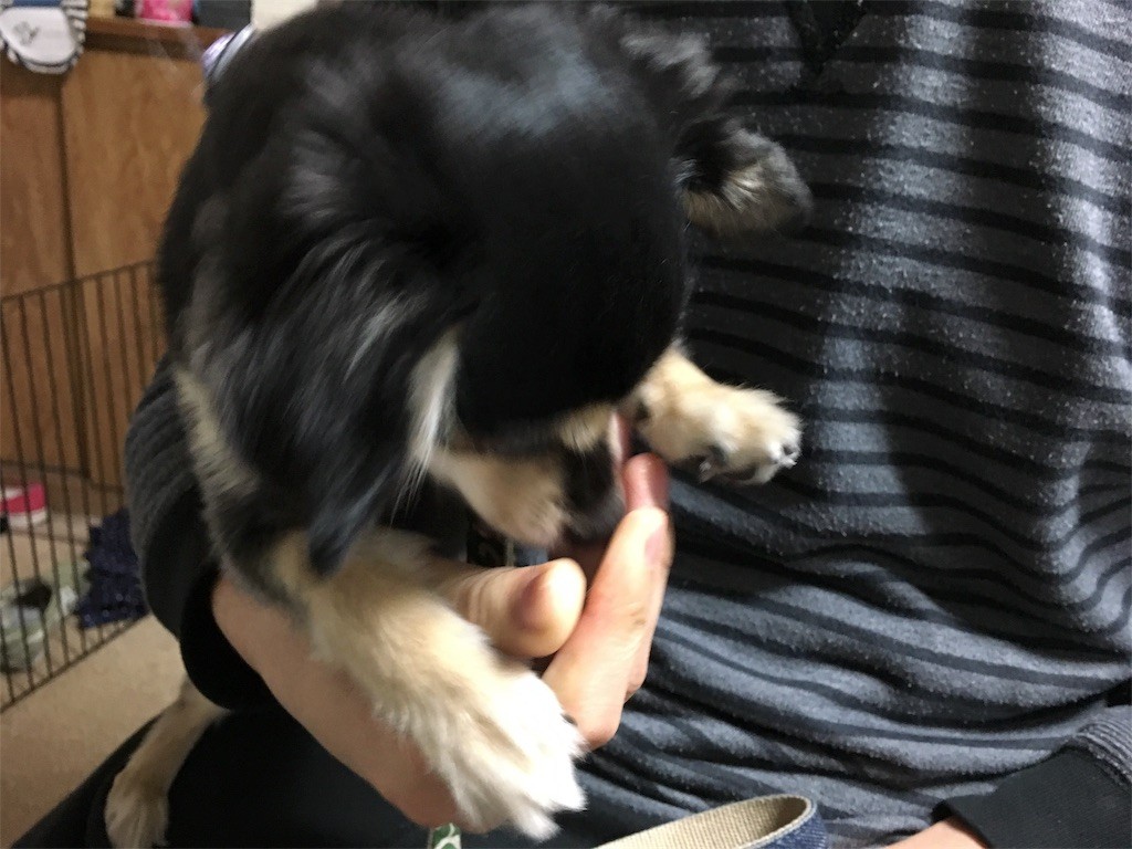 f:id:akie1000:20170122155122j:image