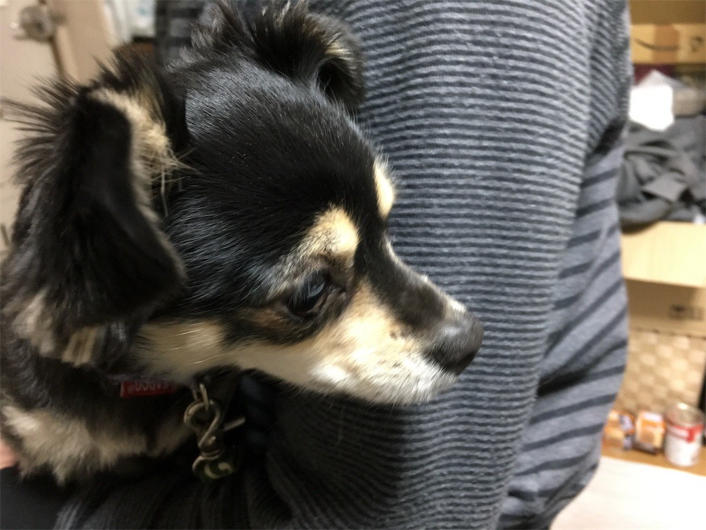 f:id:akie1000:20170122155136j:image