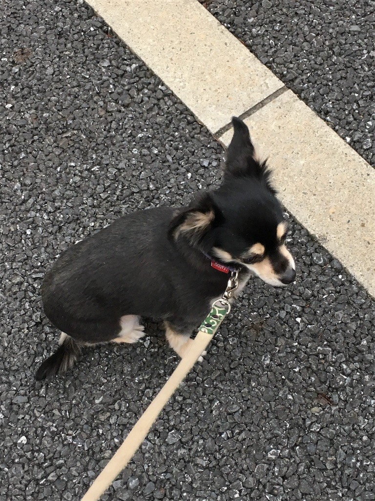 f:id:akie1000:20170122155221j:image