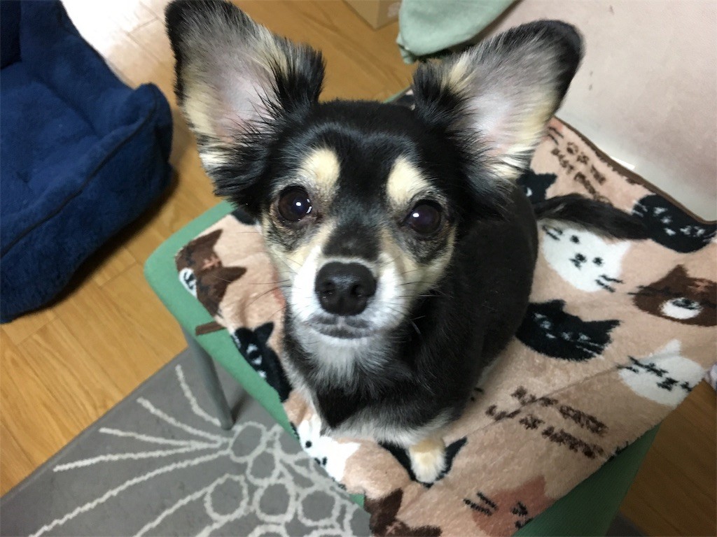 f:id:akie1000:20170124013000j:image