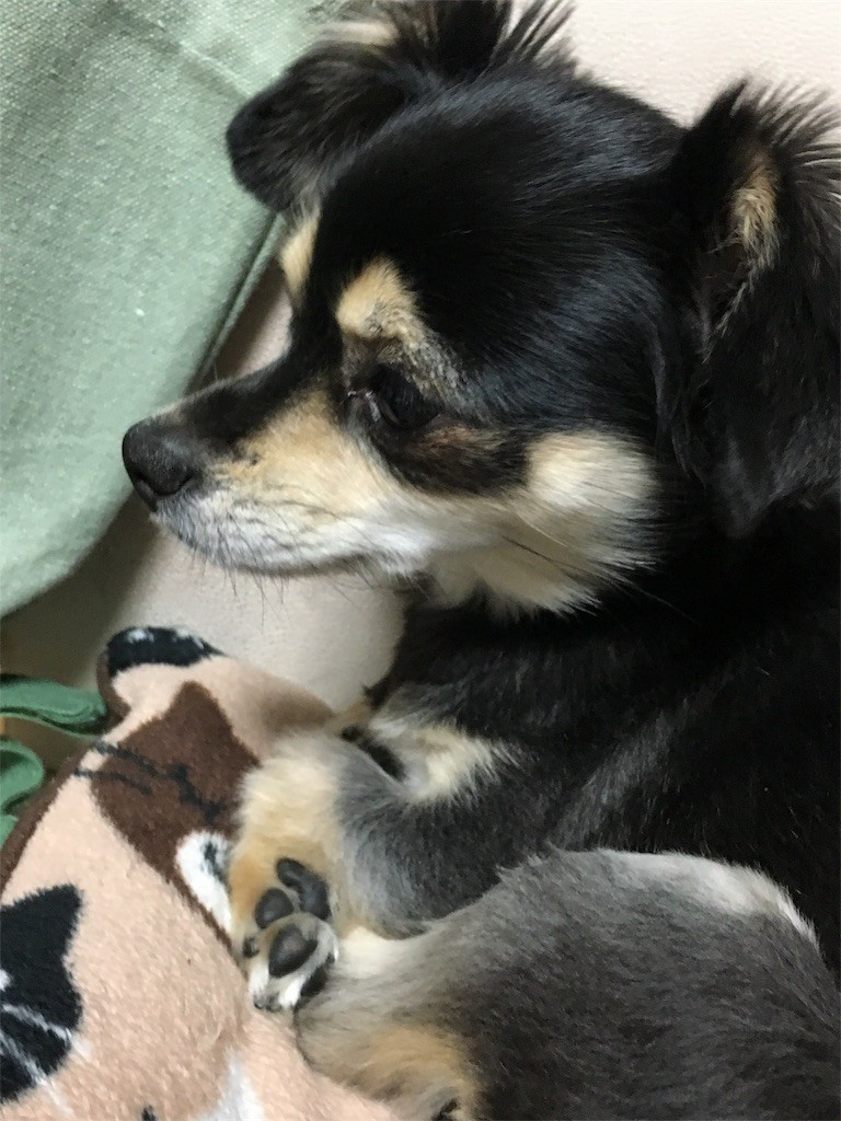 f:id:akie1000:20170124013024j:image