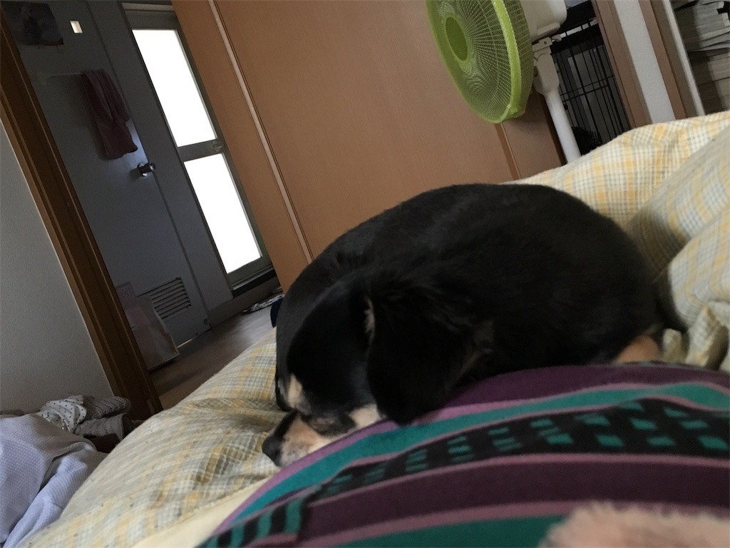 f:id:akie1000:20170125155537j:image