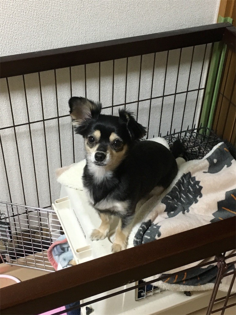 f:id:akie1000:20170131005917j:image