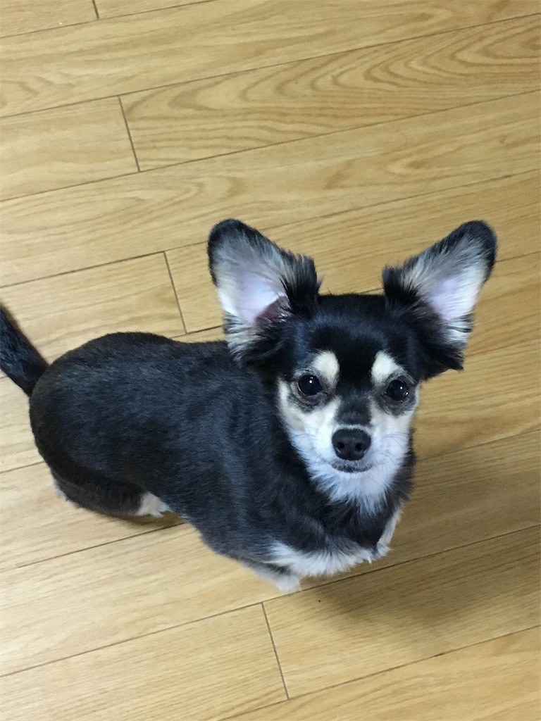 f:id:akie1000:20170201003618j:image
