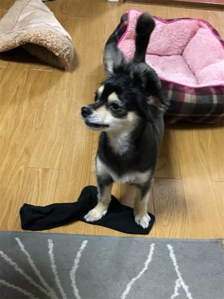 f:id:akie1000:20170321202448j:image