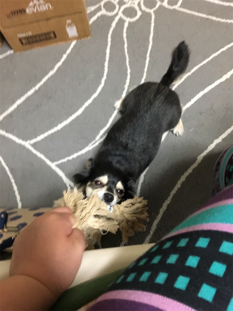 f:id:akie1000:20170419011230j:image