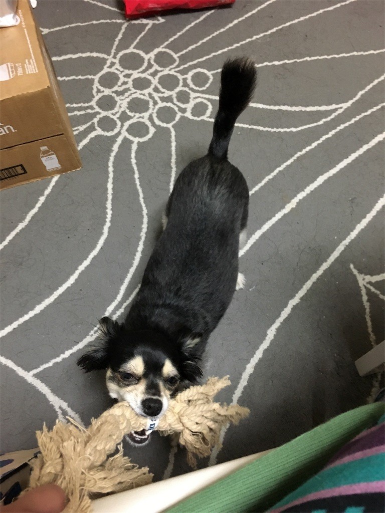 f:id:akie1000:20170419011246j:image