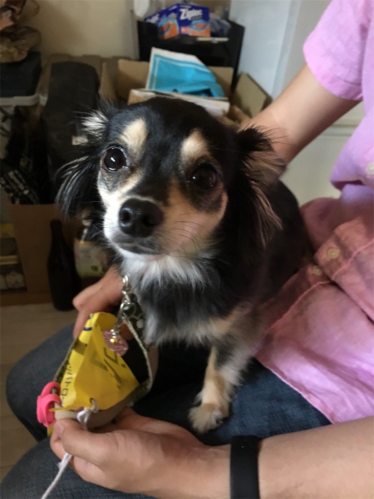 f:id:akie1000:20170522234821j:image