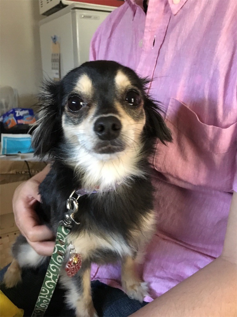 f:id:akie1000:20170522234839j:image