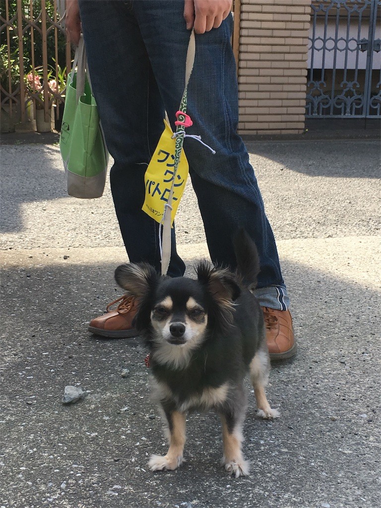 f:id:akie1000:20170522234912j:image