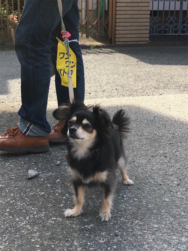 f:id:akie1000:20170522234921j:image