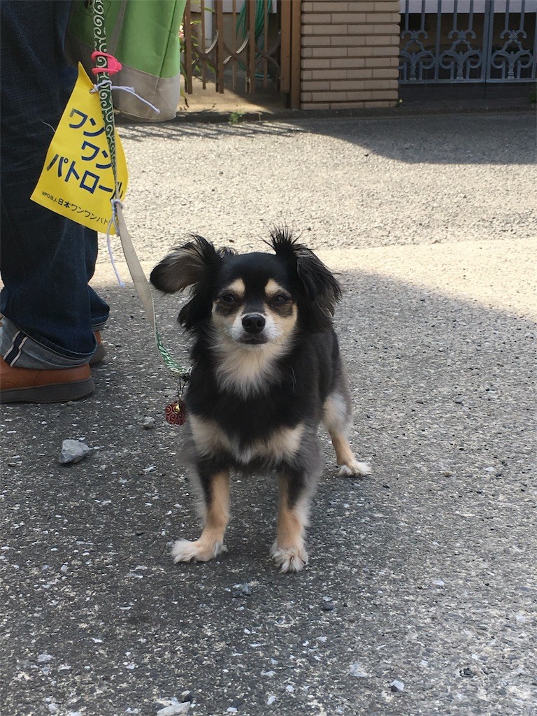 f:id:akie1000:20170522234931j:image