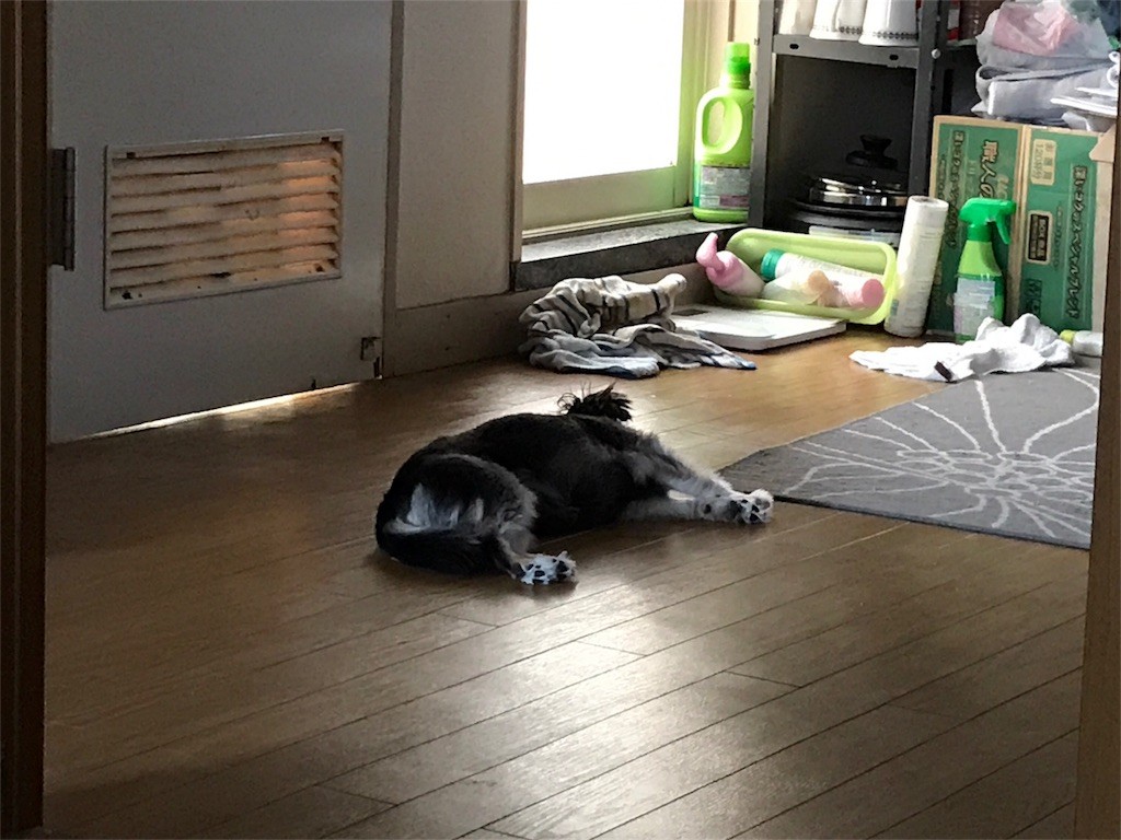 f:id:akie1000:20170522234943j:image