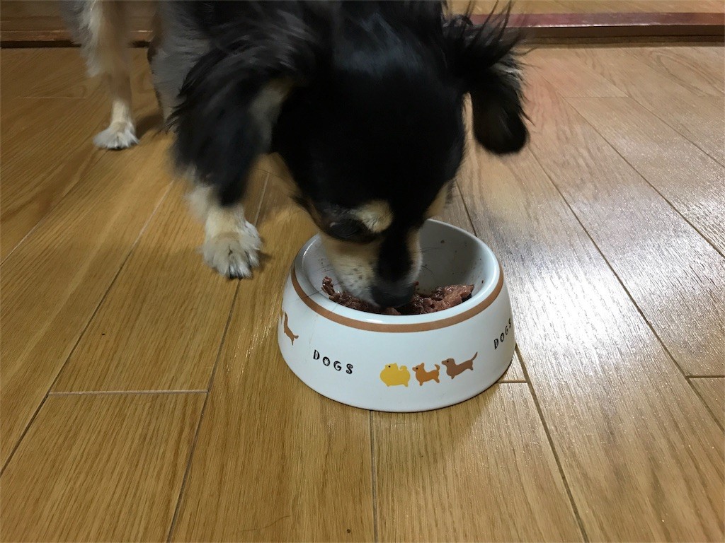 f:id:akie1000:20170522234950j:image