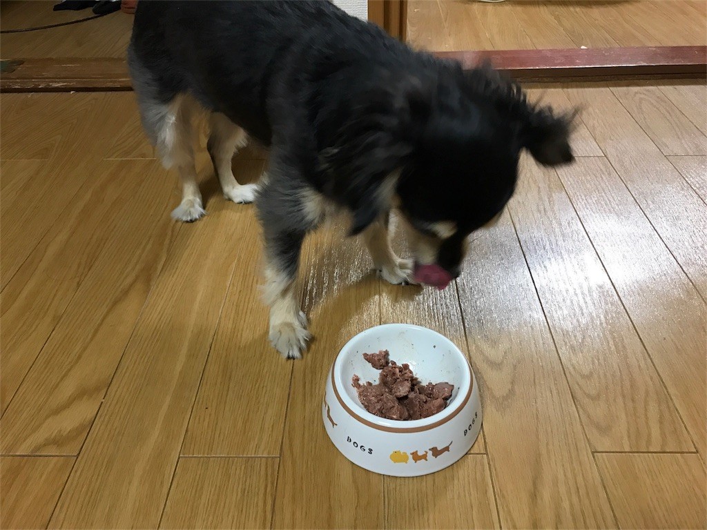 f:id:akie1000:20170522235001j:image