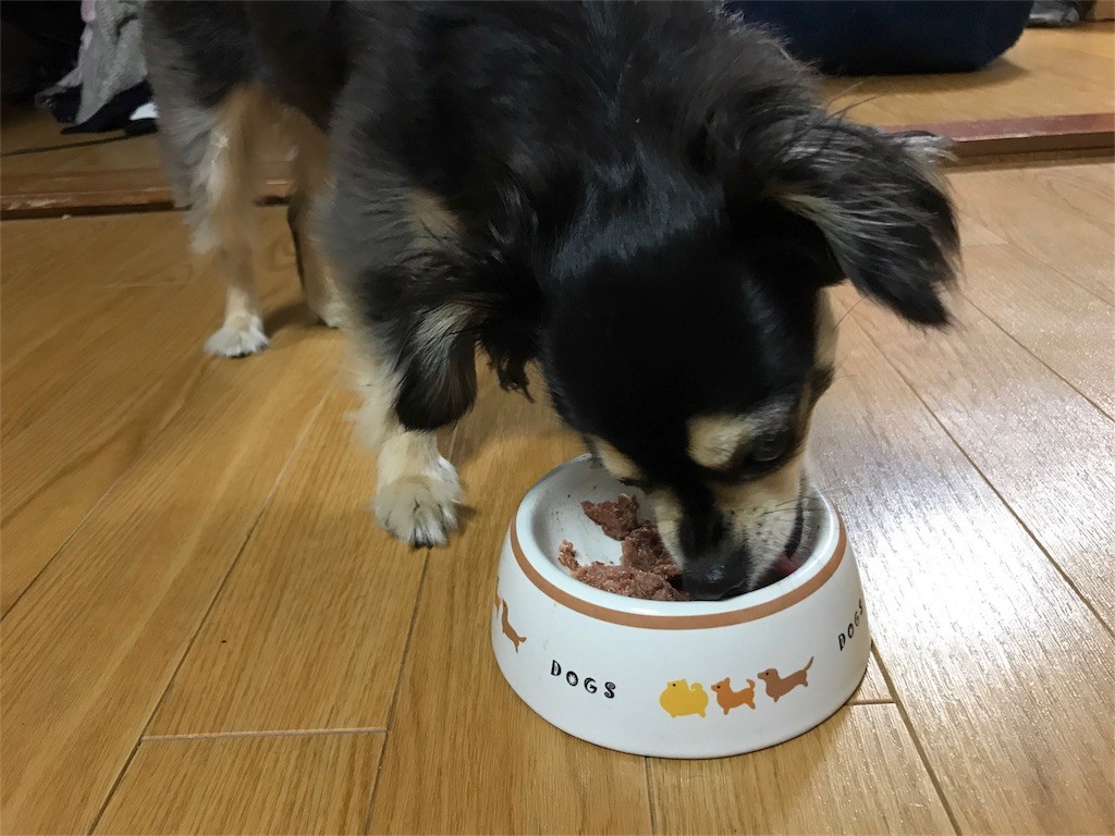 f:id:akie1000:20170522235009j:image